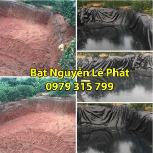 GIÁ MÀNG BẠT NHỰA HDPE CHỐNG THẤM TPHCM